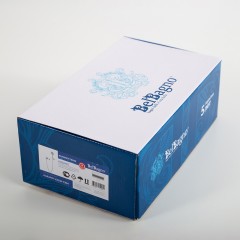 Смеситель для ванны BelBagno Albano ALBANO-VASM-CRM