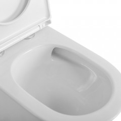 Унитаз BelBagno Tre-tor BB673CP-MN-TOR/SC моноблок безободковый торнадо
