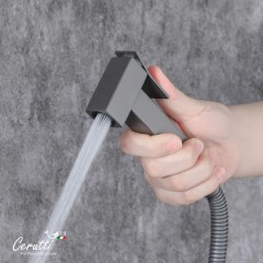 Смеситель с гигиеническим душем встраиваемый Cerutti Resia SHGR