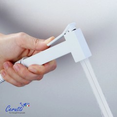 Смеситель с гигиеническим душем встраиваемый Cerutti Resia SHW