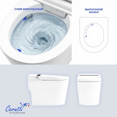 Унитаз-биде электронный Cerutti Afra Smart CT12152 безободковый
