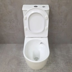 Унитаз Bloomix Casper AD3144T/UF1 безободковый торнадо