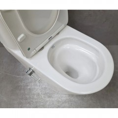 Унитаз Bloomix Lime 3.0 AD3055TSB/UF1 Ceramic+ безободковый торнадо с функцией биде и смесителем