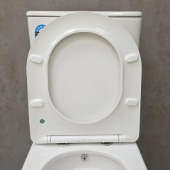 Унитаз Bloomix Salchow 3.0 AD3093TSB/UF1 Ceramic+ безободковый торнадо с функцией биде и смесителем