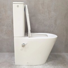 Унитаз Bloomix Salchow 3.0 AD3093TSB/UF1 Ceramic+ безободковый торнадо с функцией биде и смесителем