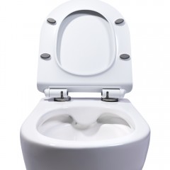 Унитаз подвесной Charus Berta EWC700-120W безободковый