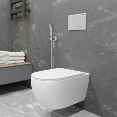 Унитаз подвесной Charus Skandenborg EWC700-125W безободковый