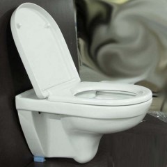Унитаз Villeroy & Boch O.novo 5660 HR01 DirectFlush подвесной
