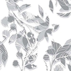 Раковина Villeroy & Boch My Nature 4110803R