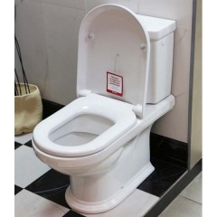 Унитаз Villeroy & Boch Hommage 666210R2