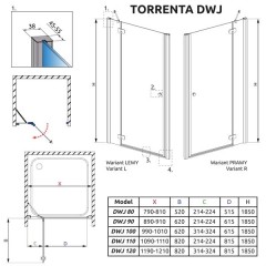 Душевая дверь Radaway Torrenta DWJ 100 31920-01-01N