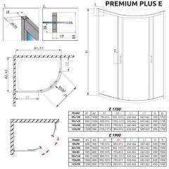 Душевой угол Radaway Premium Plus E 100x80x190 30491-01-01N