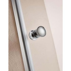 Душевая дверь Radomir 700x2000