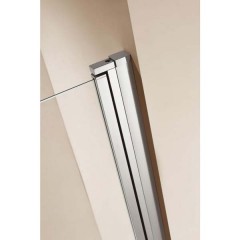 Душевая дверь Radomir 800x2000