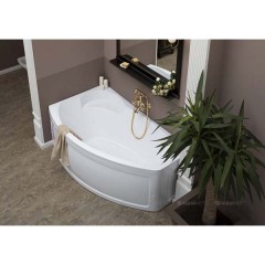 Ванна акриловая Aquanet Sofia 170x100 L