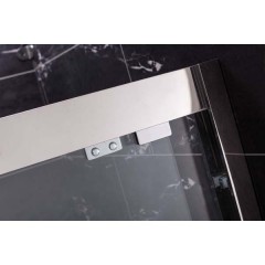 Душевая дверь Royal Bath RBF2011 1200x2000