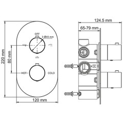 Смеситель для ванны встраиваемый WasserKRAFT Berkel 4844 Thermo