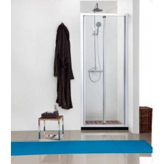 Душевая дверь Aquanet Alfa NAA6422 100 210022