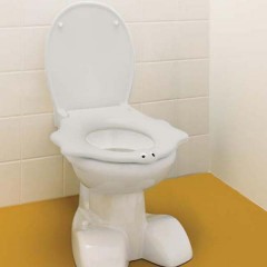 Крышка-сиденье для унитаза Geberit Bambini 573360000
