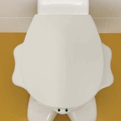 Крышка-сиденье для унитаза Geberit Bambini 573360000