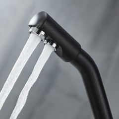 Смеситель для кухни Paulmark Hessen He213017-418