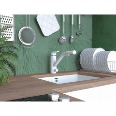 Смеситель для кухни Paulmark Hessen He213017-431