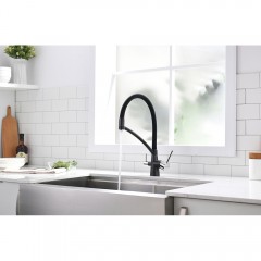 Смеситель для кухни Paulmark Siegen Si213111-418
