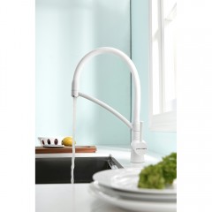 Смеситель для кухни Paulmark Siegen Si213111-431TW