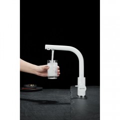 Смеситель для кухни Paulmark Essen Es213011-431TW