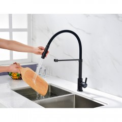 Смеситель для кухни Paulmark Halt Ha214021-401