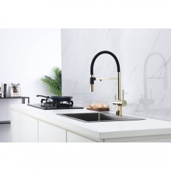 Смеситель для кухни Paulmark Magneto Ma213118-G