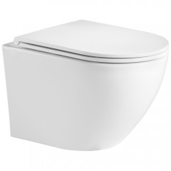 Инсталляция Geberit Duofix 458.125.21.1 + унитаз WeltWasser Merzbach 004 GL-WT безободковый с сиденьем