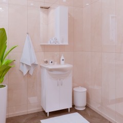 Зеркало-шкаф Corozo Колор 50 белый SD-00000683