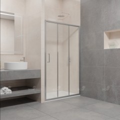 Душевая дверь RGW Passage PA-13 100 06081310-11