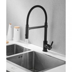 Смеситель для кухни Rose R133H