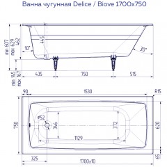 Ванна чугунная Delice France Biove 170x75 DLR220509