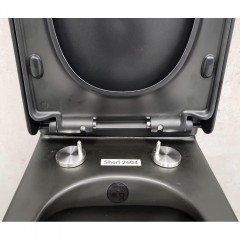 Унитаз Bloomix Sherl 2604 matt black безободковый