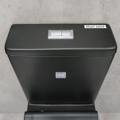 Унитаз Bloomix Sherl 2604 matt black безободковый