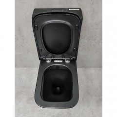 Унитаз Bloomix Sherl 2604 matt black безободковый