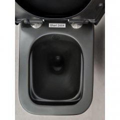 Унитаз Bloomix Sherl 2604 matt black безободковый