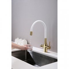 Смеситель для кухни Paulmark Salix Sa213419-Gw