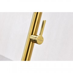 Смеситель для кухни Paulmark Leader Le214101-BG