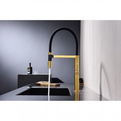 Смеситель для кухни Paulmark Leader Le214101-BG