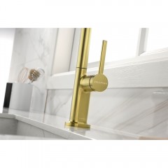 Смеситель для кухни Paulmark Neo Ne214419-SBG
