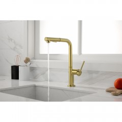 Смеситель для кухни Paulmark Neo Ne214419-SBG