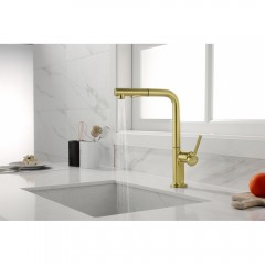 Смеситель для кухни Paulmark Neo Ne214419-SBG