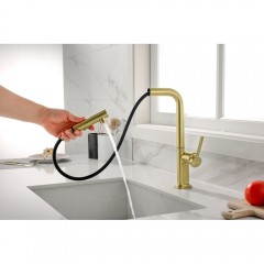 Смеситель для кухни Paulmark Neo Ne214419-SBG