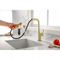 Смеситель для кухни Paulmark Neo Ne214419-SBG