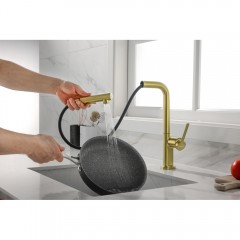 Смеситель для кухни Paulmark Neo Ne214419-SBG