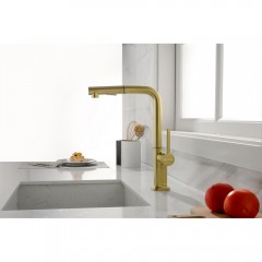 Смеситель для кухни Paulmark Neo Ne214419-SBG